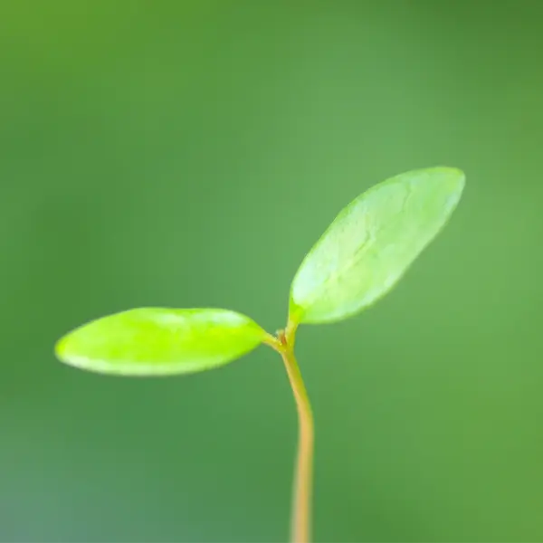 コンセプトの柱 発達支援 放課後デイサービス　望　小田原